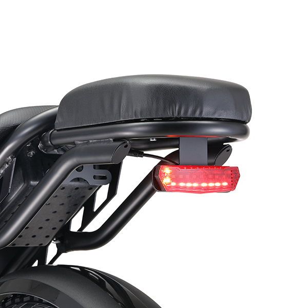 EU-MK20 Dual Motor & Dual Battery - Image 8